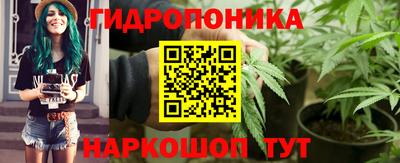 прущий лед Новозыбков